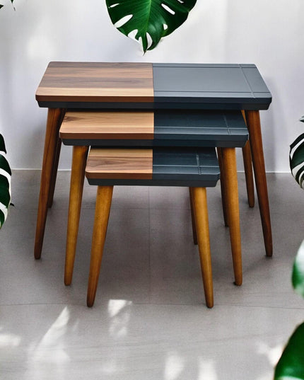 Modern Style Coffee Tables with Wooden Legs, Rustic Modern, Nest Of Tables Set of 3, Side Table Set Walnut Color, End Table Set