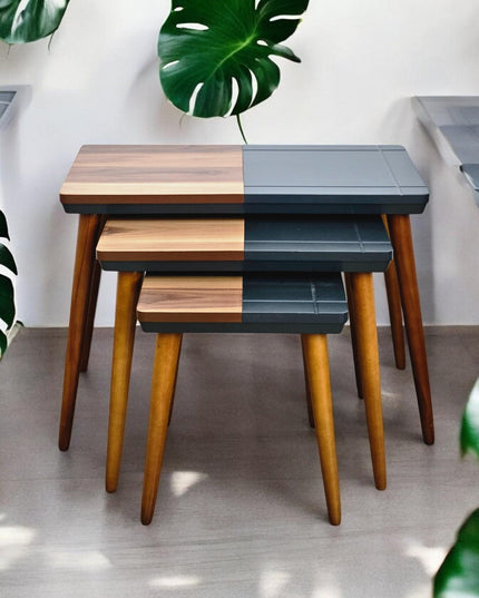 Modern Style Coffee Tables with Wooden Legs, Rustic Modern, Nest Of Tables Set of 3, Side Table Set Walnut Color, End Table Set