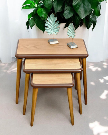 Nesting coffee Table, Unique Set of 3 Coffee Table, Modern Living Room Furniture, Side Table Set Walnut Color, End Table Set