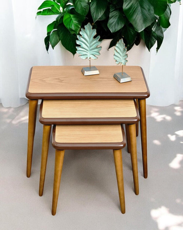Nesting coffee Table, Unique Set of 3 Coffee Table, Modern Living Room Furniture, Side Table Set Walnut Color, End Table Set