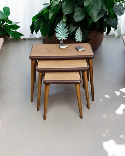 Nesting coffee Table, Unique Set of 3 Coffee Table, Modern Living Room Furniture, Side Table Set Walnut Color, End Table Set