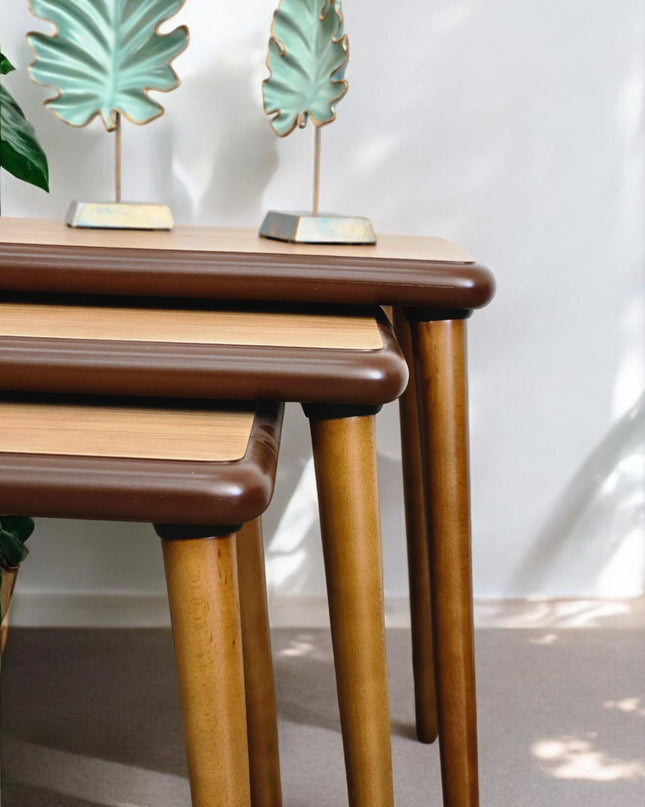 Nesting coffee Table, Unique Set of 3 Coffee Table, Modern Living Room Furniture, Side Table Set Walnut Color, End Table Set