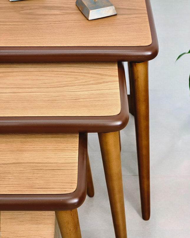 Nesting coffee Table, Unique Set of 3 Coffee Table, Modern Living Room Furniture, Side Table Set Walnut Color, End Table Set