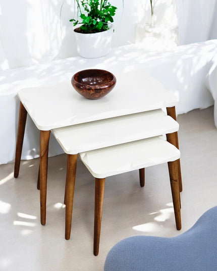 Rustic Nesting Coffee Tables, Nesting Coffee Table Set of 3, Minimalist Furniture Interior Decor, Mid Century Modern Walnut Side Table,