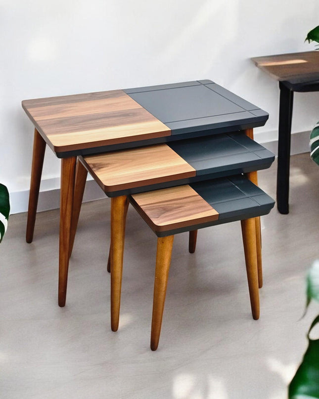 Modern Style Coffee Tables with Wooden Legs, Rustic Modern, Nest Of Tables Set of 3, Side Table Set Walnut Color, End Table Set