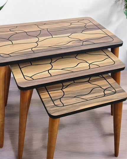 Unique Set of 3 Coffee Table, Walnut Side Table Mid Century, Side Table Set Walnut Color, Modern Living Room Furniture