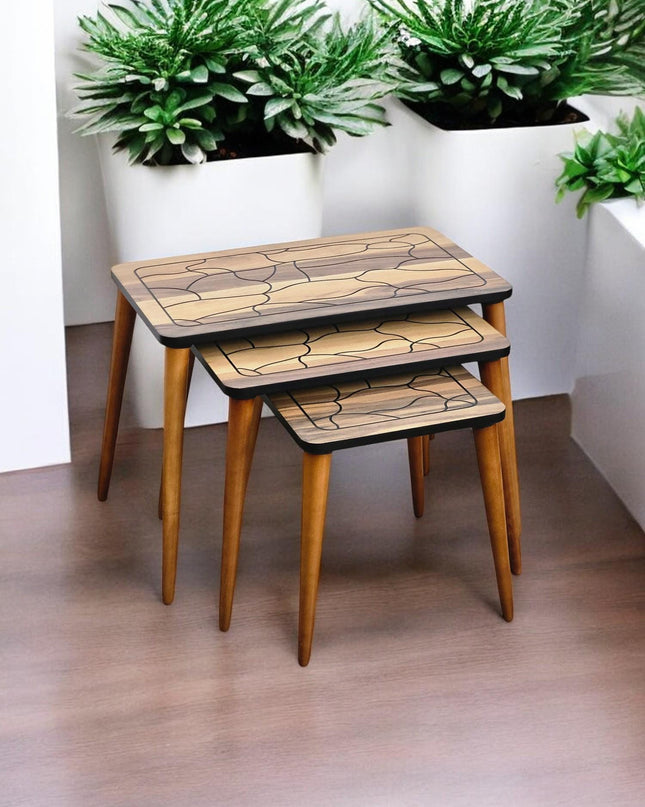 Unique Set of 3 Coffee Table, Walnut Side Table Mid Century, Side Table Set Walnut Color, Modern Living Room Furniture