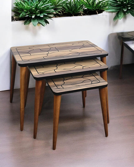 Unique Set of 3 Coffee Table, Walnut Side Table Mid Century, Side Table Set Walnut Color, Modern Living Room Furniture