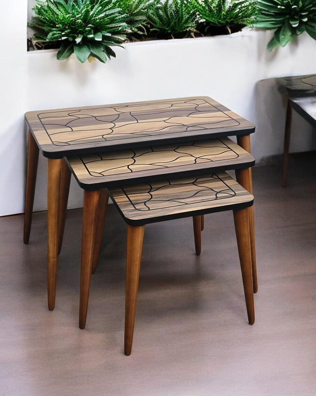 Unique Set of 3 Coffee Table, Walnut Side Table Mid Century, Side Table Set Walnut Color, Modern Living Room Furniture