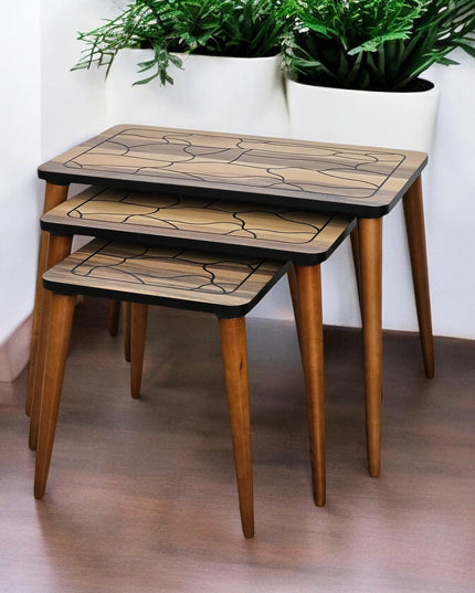 Unique Set of 3 Coffee Table, Walnut Side Table Mid Century, Side Table Set Walnut Color, Modern Living Room Furniture