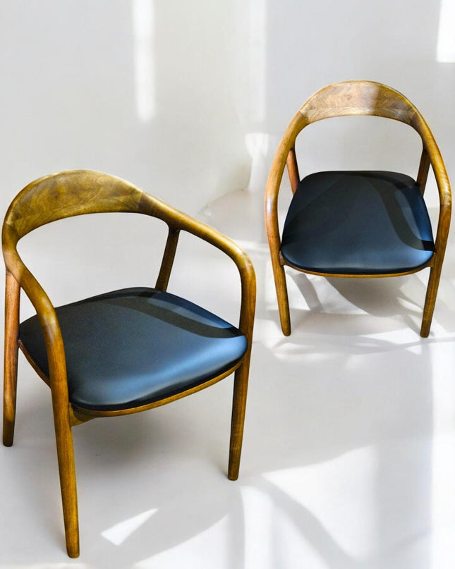 Walnut Dining Chair, Modern Dining Chair, Chairs for Living Room, Wooden Dining Chair, Kitchen Table Chairs, Dining Chair with Wooden Arms